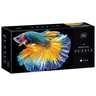 Interdruk puzzle 250 kom Colorful nature 6 Fish