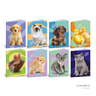 Set bilježnica Best Friends,  A4 kvadratići, 52 lista, meki uvez, 10 KOM