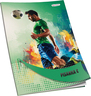 Pisanka C za 2 i 3 razred Premium Connect Boy, B5 linije, 24 listova, meki uvez