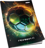 Pisanka D Premium Connect Boy, B5 linije, 48 listova, meki uvez