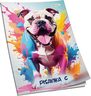 Pisanka C Connect Girl+ Soft, B5 linije, 32 listova, meki uvez