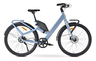 MS ENERGY eBike Veles Plus Special Gold