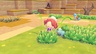 Nintendo Switch 2 Console Pokemon Pokopia Bundle G/R