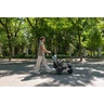 Kinderkraft tricikl AVEO Plus 2, Grey