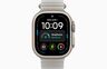 Apple Watch Ultra 4, MJAD4QH/A, GPS + Cellular 49mm Natural Titanium Case with Translucent Grey Ocean Band, pametni sat