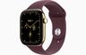 Apple Watch Series 12, MJGT4WF/A,  GPS + Cellular 46mm M/L Radiant Gold Titanium Case with Burgundy Sport Band, pametni sat
