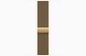 Apple Watch Series 12, MJGU4WF/A,  GPS + Cellular 46mm S/M Radiant Gold Titanium Case with Radiant Gold Milanese Loop, pametni sat