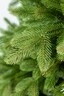 Umjetno božićno drvce - BAHAMA LUX FULL 3D 170 cm