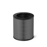 Philips PureProtect Go zamjenski filtar FY0500/30