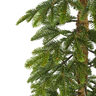 Bor 210cm Alpine zeleni PE d50cm 591 grančica