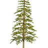 Bor 210cm Alpine LED zeleni PE d50cm 591 grančica/200L