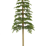 Bor 240cm Alpine zeleni PE d60cm 1010 grančica