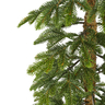 Bor 240cm Alpine zeleni PE d60cm 1010 grančica