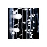 DEKORTREND Crystalline spojiva LED svjetlosna zavjesa 1,2 x 1,2 m, 144 LED, hladno bijela