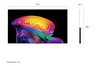 LG 77" OLED evo AI C6 OLED77C61LA, 4K UHD, webOS Smart TV, 120Hz (VRR do 165Hz)