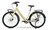 MS ENERGY eBike Zorya Plus Silver Gold