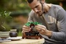 LEGO Creator Expert Bonsai drvo 10281 RA