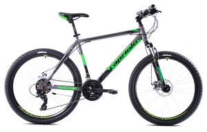 CAPRIOLO bicikl MTB OXYGEN 29'/21HT silver/green