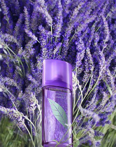 Elizabeth Arden Green Tea Lavender, edt 100 ml, ženski miris