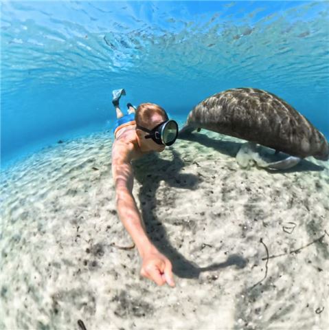 Insta360 X5 Invisible Dive Case