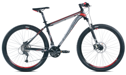 Capriolo biciklo Level 9.4 29/24