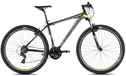 Capriolo biciklo Level 9.1 29/21