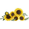 LEGO® Botanicals Buket suncokreta 11502