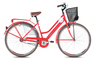 Capriolo biciklo Amsterdam Lady 28/1