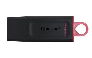 Kingston 256GB DTX USB стик