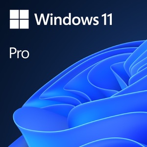 Windows 11 Pro Eng 64-bit, FQC-10528, DVD