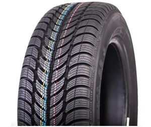 SAVA 185/60R15 84T ESKIMO S3+