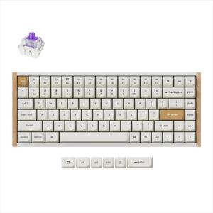 KEYBOARD WIRELESS MECHANICAL KEYCHRON K2 HE Special edition, HS, RGB LED 75% Gateron Double-Rail Magnetic Switch, OSA PBT, White, K2H-Q1