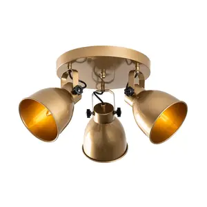 521SHN3526 Лустер Spotkafası - 13789