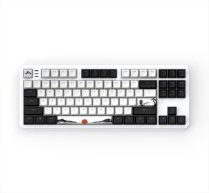 KEYBOARD MECHANICAL DARK PROJECT 87 FUJI V2 (Metal Skeleton) TKL RGB linear G3ms Sapphire switch ANSI layout