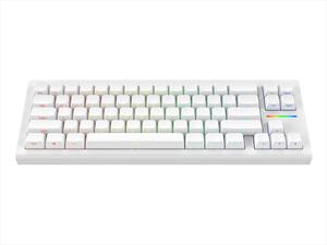KEYBOARD MECHANICAL NUBI NK68HE, 65%, RGB, G3MS Magnetite Ice Hot-swappable, USB-C, White, NK68-HE-WH-ANSI