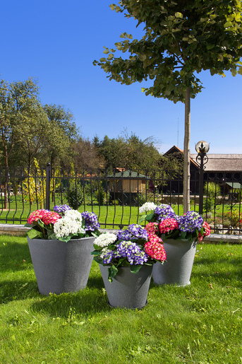 ROTO Џез L саксија 57x47cm