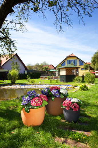 ROTO Румба M саксија 40x33cm