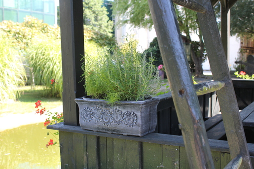 ROTO Планика XL саксија 78x20x18cm