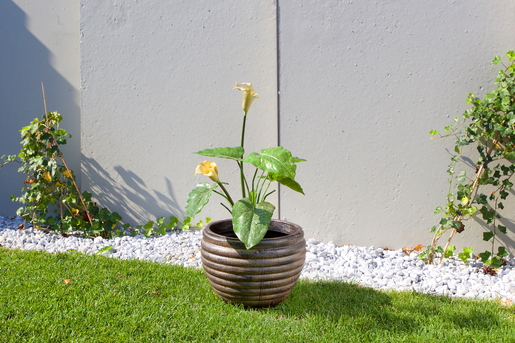 ROTO Модерно M саксија 34x25cm