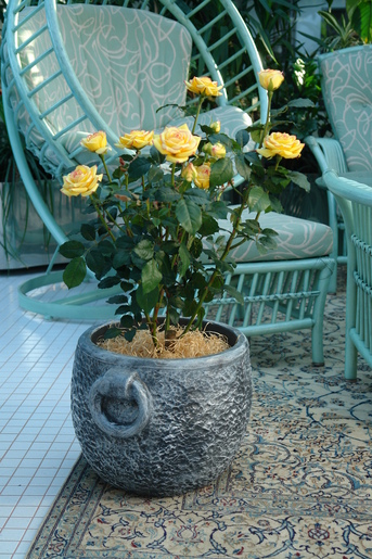 ROTO Камнито XL саксија 57x47cm