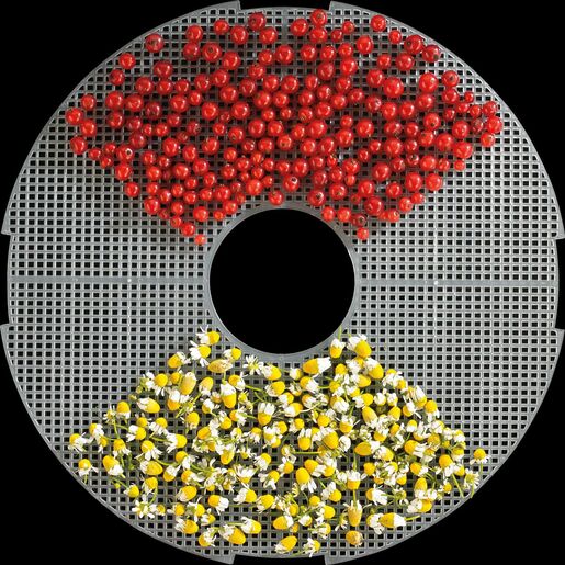 GORENJE FDK24DW Апарат за сушење храна