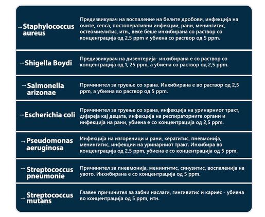 Сребрена маска самочистечка со јони од сребро и зеолит 1 парче