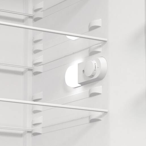 Gorenje R619EEW5 фрижидер