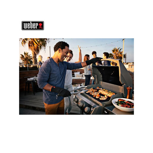 WEBER SPIRIT II E-310 GBS СКАРА НА ГАС