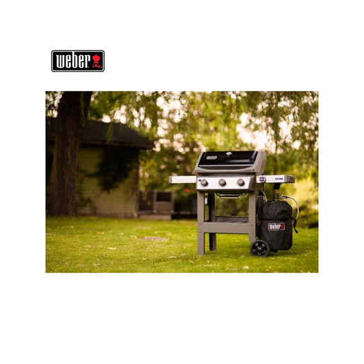 WEBER SPIRIT II E-310 GBS СКАРА НА ГАС