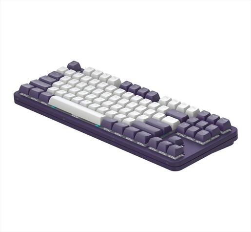 KEYBOARD MECHANICAL DARK PROJECT ALU87A VIOLET TKL RGB linear mechanical switches G3ms Sapphire ANSI layout