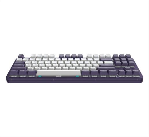 KEYBOARD MECHANICAL DARK PROJECT ALU87A VIOLET TKL RGB linear mechanical switches G3ms Sapphire ANSI layout