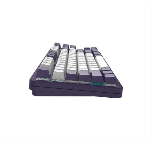 KEYBOARD MECHANICAL DARK PROJECT ALU87A VIOLET TKL RGB linear mechanical switches G3ms Sapphire ANSI layout
