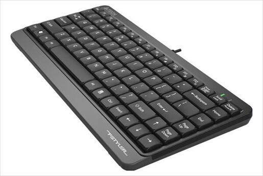 KEYBOARD WIRED USB A4TECH FSTYLER FK11 Gray, LP Keys