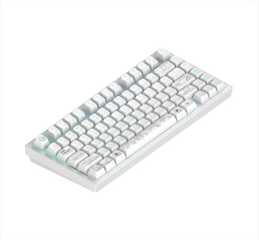 KEYBOARD MECHANICAL DARK PROJECT ALU81A TERRA NOVA WHITE HS RGB linear mechanical switches G3ms Moonstone- Pre-lubed, wireless (BT/2,4g),+4 switch ANSI layout